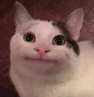 Мемы с котиками 