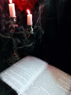 Книжный Червь