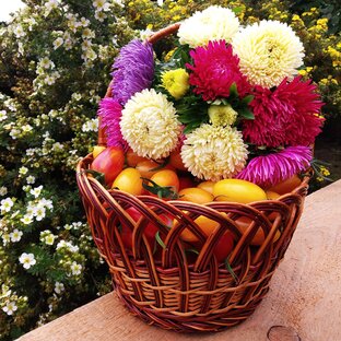 ДАЧНЫЕ ВЛОГИ 🤗