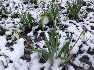 Крымская зима