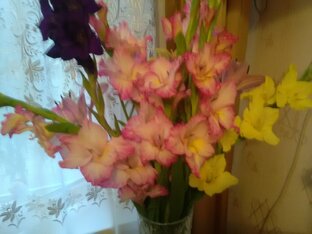 Букет недели.