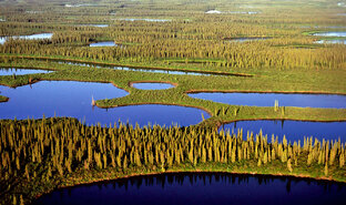 Западная Сибирь