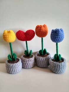 РАСТЕНИЯ, ОВОЩИ, ФРУКТЫ