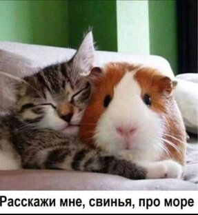 Отношения между мужчиной и женщиной