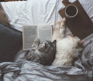 Книгообзоры