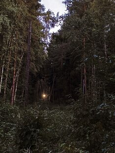 Неидеальная семья. Бывший