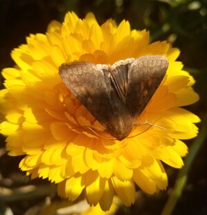 Ловим в кадр позитив!