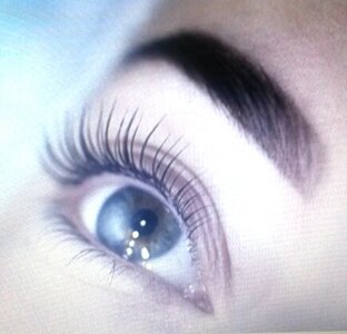 Брови, ресницы