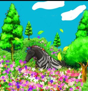 Конкурсы(законченые)