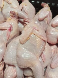 Про перепелов