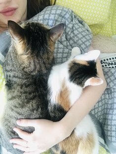 Братья наши меньшие 