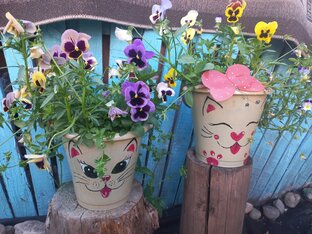 А это просто красиво 