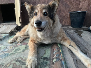 Вопреки всему я хочу жить!