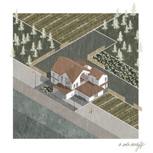 Алена визуализирует 👩‍💻