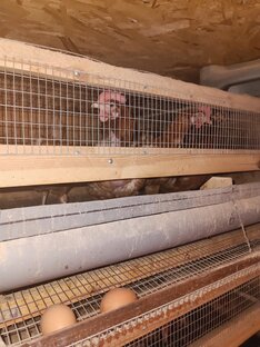 Мое подьворье