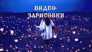 Видеозарисовки    