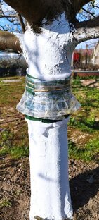 Ловчие пояса