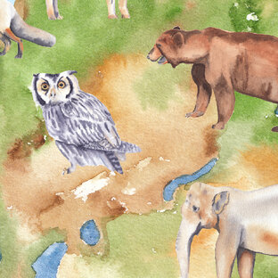 Детям о природе и животных