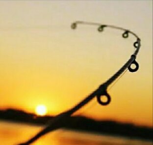 Фидер и донки 