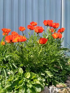 Письмо подписчику