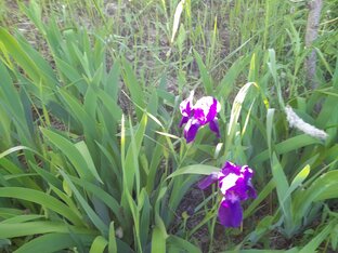 Просто о жизни.