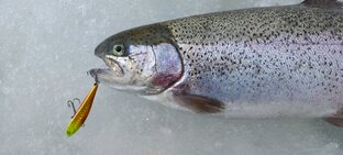 Короткие видео 