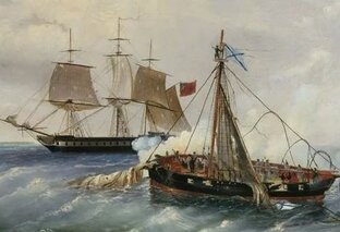 Один в море воин