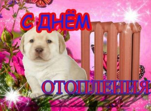 Поздравления и открытки