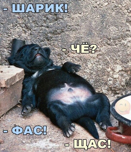 Жизненные истории