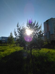 Ирина про лень