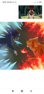 Интересные видосы