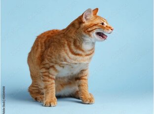 Яга и Злыдень (Все части) 