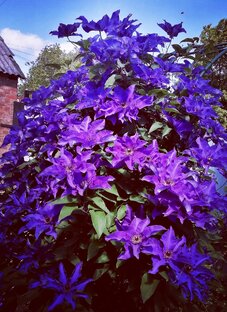 Природа лечит красотой... 