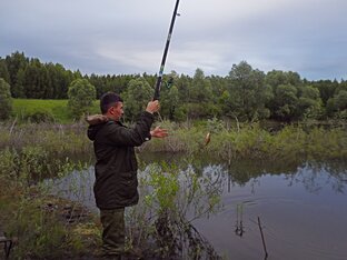 Путешествия