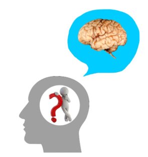 Сознание и мозг