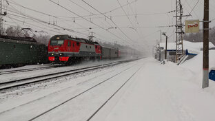 Ролики