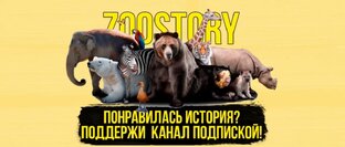 Спасение наших братьев меньших