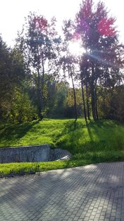 Нетяжёлый день