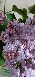 МОИ ЛАНДШАФТНЫЕ РАБОТЫ 