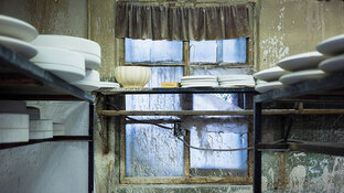 Статьи о жизни