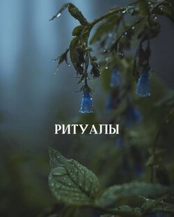 Ритуалы