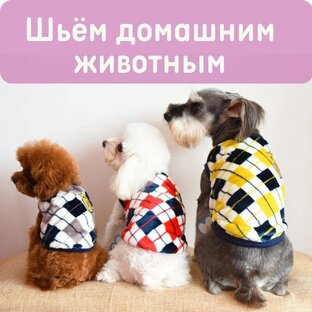Шьем домашним животным
