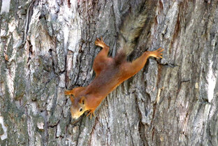 Наедине с природой