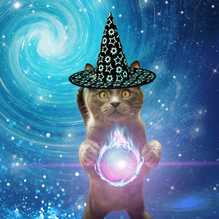 Кинопредсказания