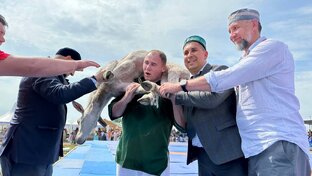 Путь воина