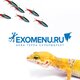 EXOMENU.RU | ЭКЗОМЕНЮ - аква-терра супермаркет