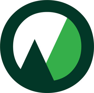Статистика Дзен Лесной комплекс forestcomplex.ru