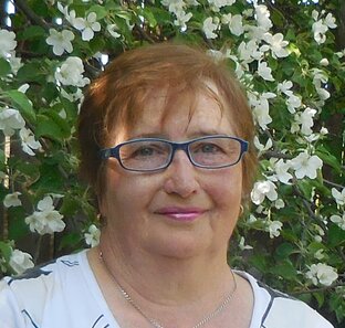 Статистика Дзен Земля у дома