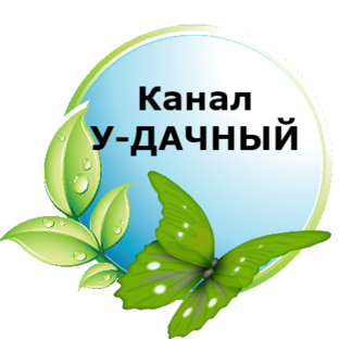 Яндекс дзен У-Дачный канал  советы от Арины  статистика