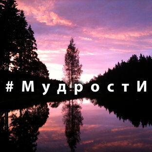 Дзен #мудрости статистика